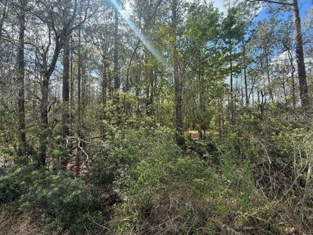 En Venta: $120,000 (1.01 acres)