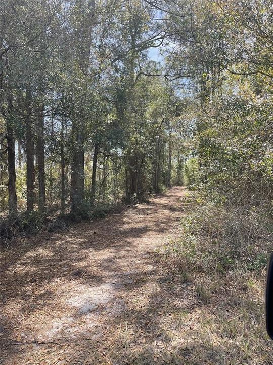 На продажу: $599,000 (46.25 acres)