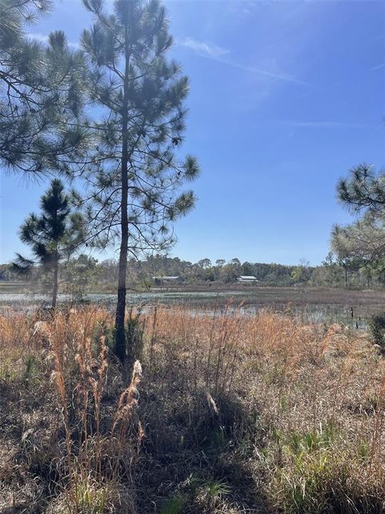 На продажу: $599,000 (46.25 acres)