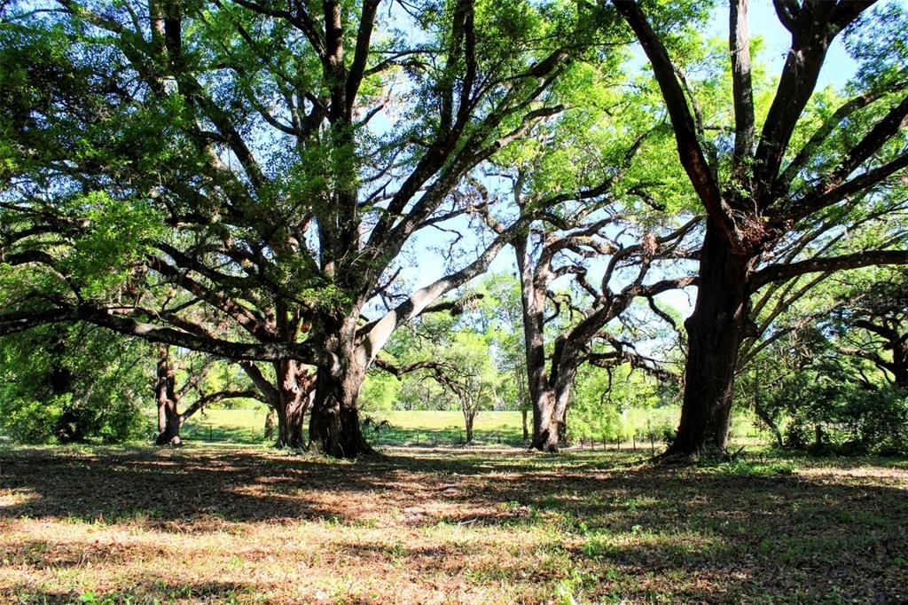 На продажу: $265,000 (2.40 acres)