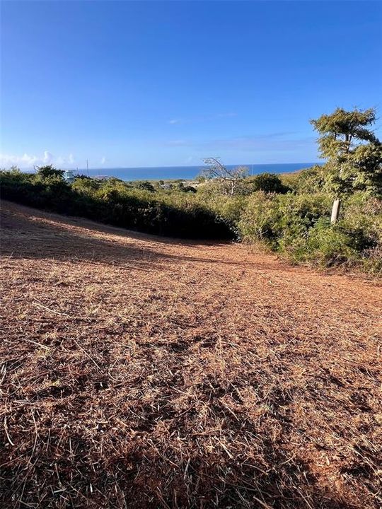 For Sale: $79,000 (0.63 acres)