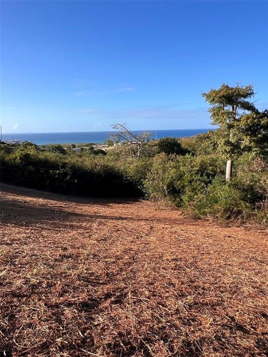 For Sale: $79,000 (0.63 acres)