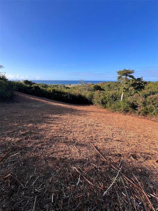 For Sale: $79,000 (0.63 acres)