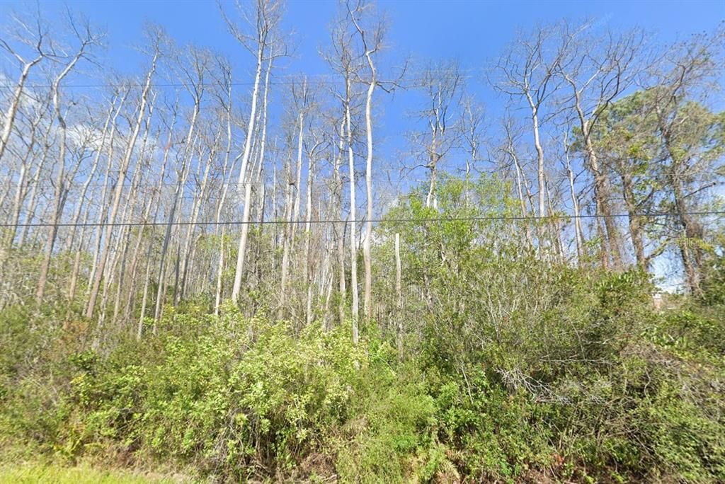 En Venta: $99,000 (1.03 acres)