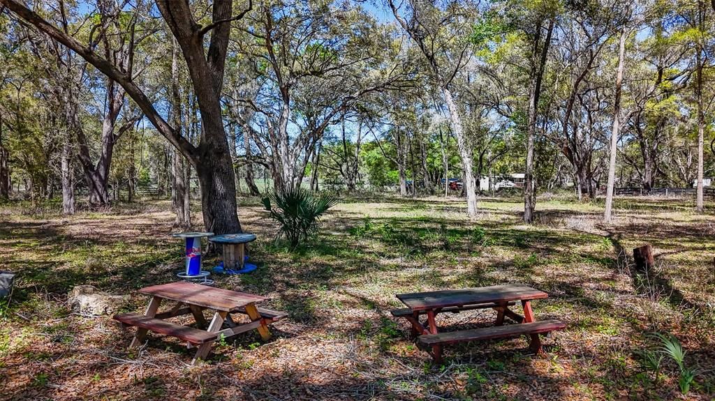 待售: $350,000 (20.00 acres)