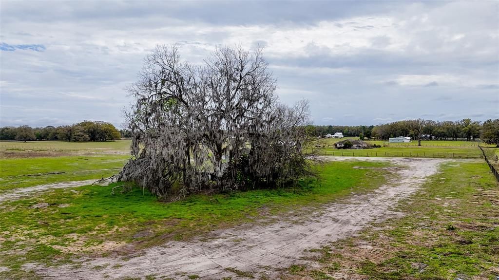 待售: $350,000 (20.00 acres)