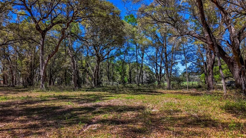 待售: $350,000 (20.00 acres)