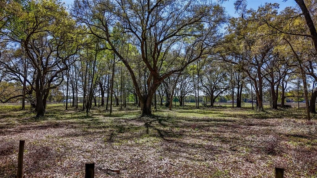 待售: $350,000 (20.00 acres)