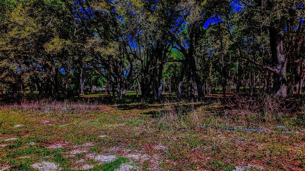 待售: $350,000 (20.00 acres)