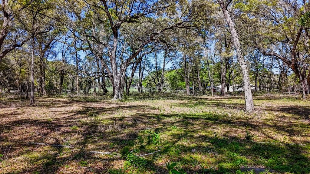 待售: $350,000 (20.00 acres)