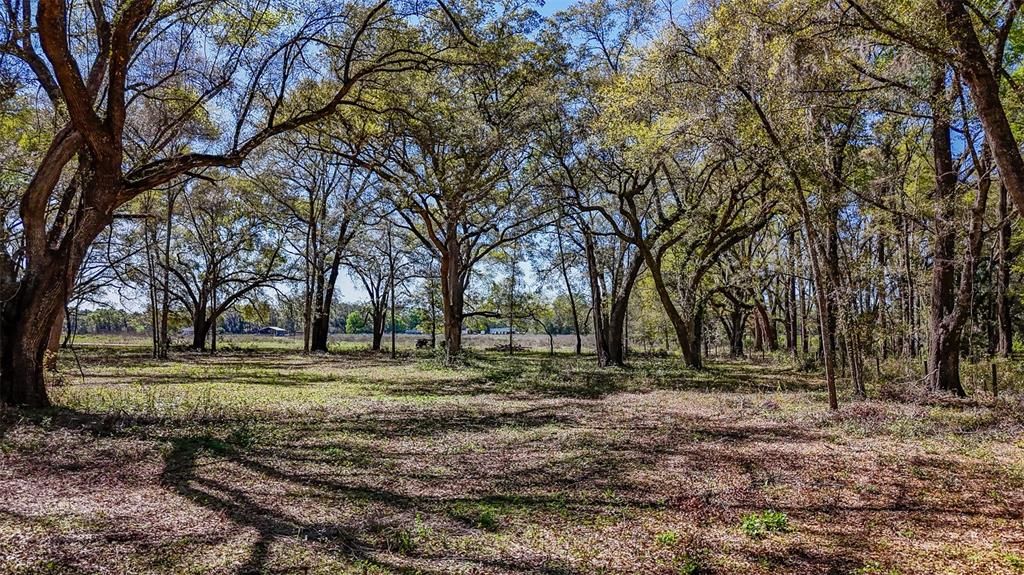 待售: $350,000 (20.00 acres)