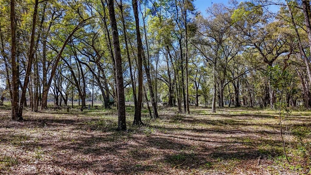 待售: $350,000 (20.00 acres)