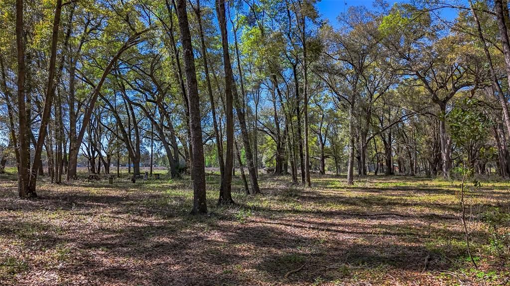 待售: $350,000 (20.00 acres)