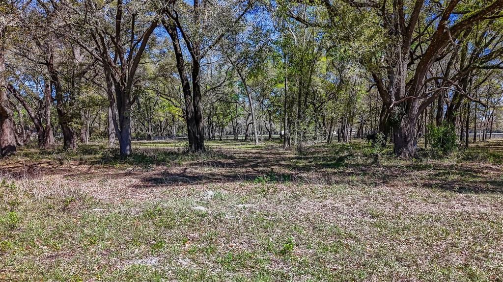 待售: $350,000 (20.00 acres)