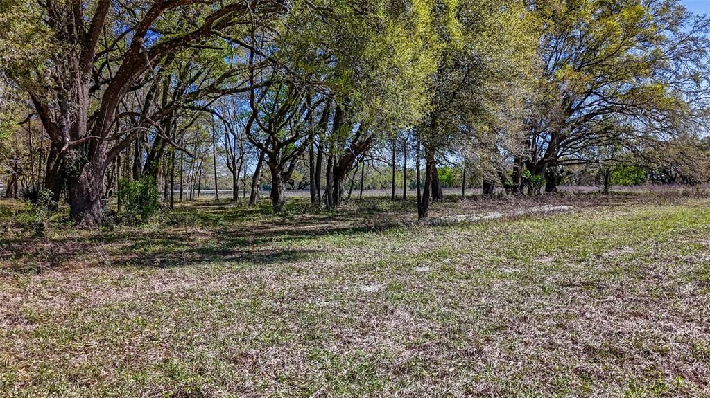 待售: $350,000 (20.00 acres)