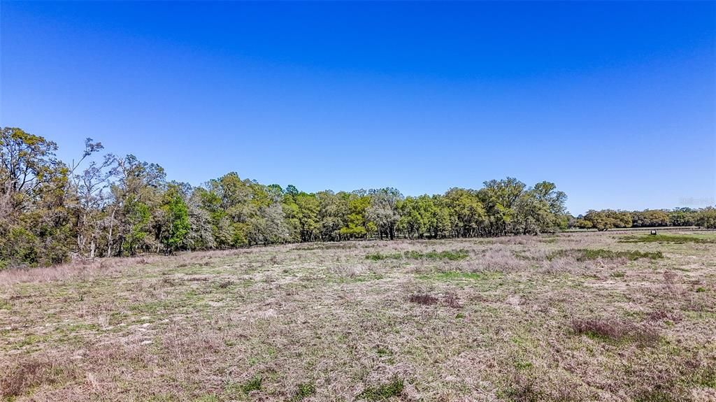 待售: $350,000 (20.00 acres)