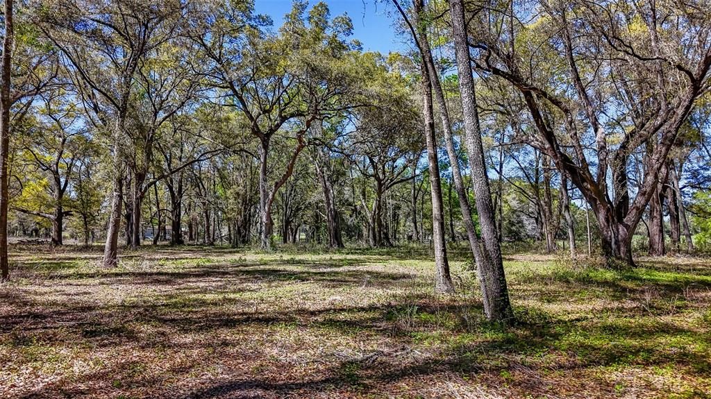 待售: $350,000 (20.00 acres)