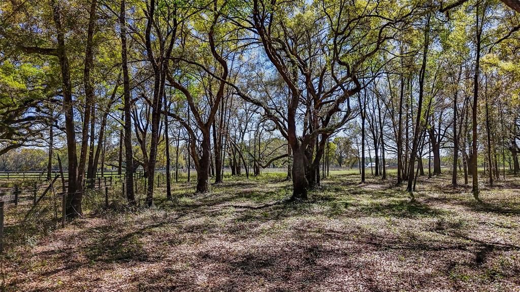 待售: $350,000 (20.00 acres)