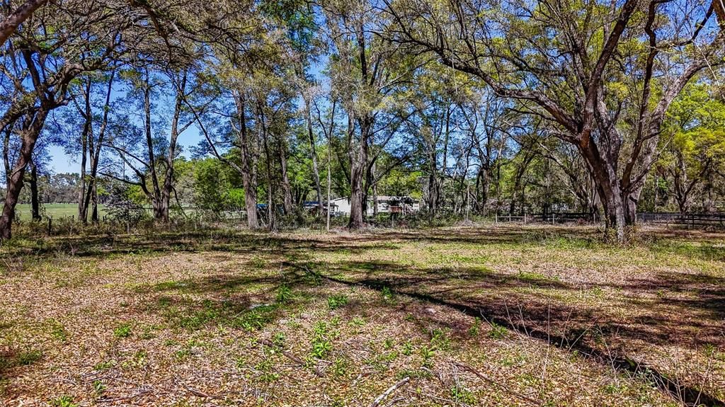 待售: $350,000 (20.00 acres)