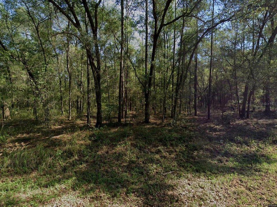 最近售出: $13,000 (0.23 acres)