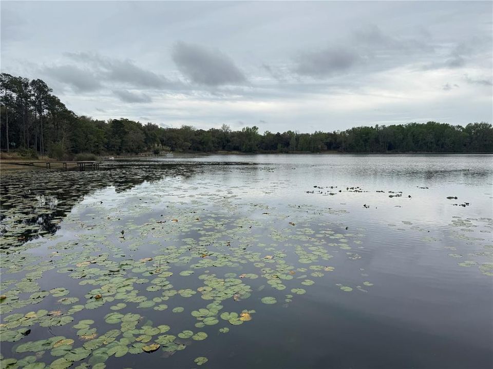 待售: $110,000 (3 贝兹, 2 浴室, 1248 平方英尺)