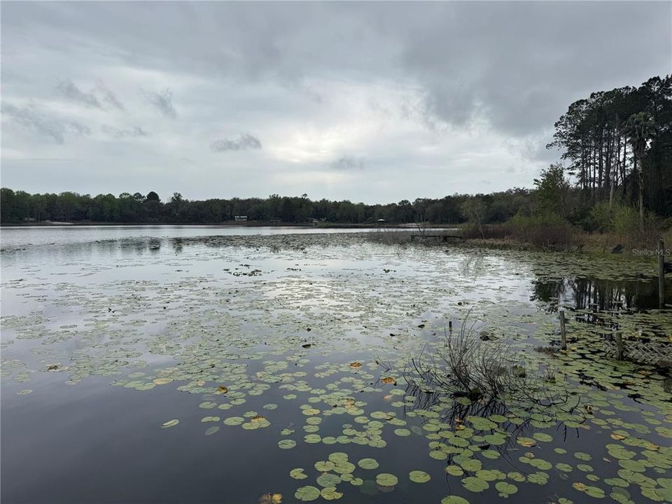 待售: $110,000 (3 贝兹, 2 浴室, 1248 平方英尺)