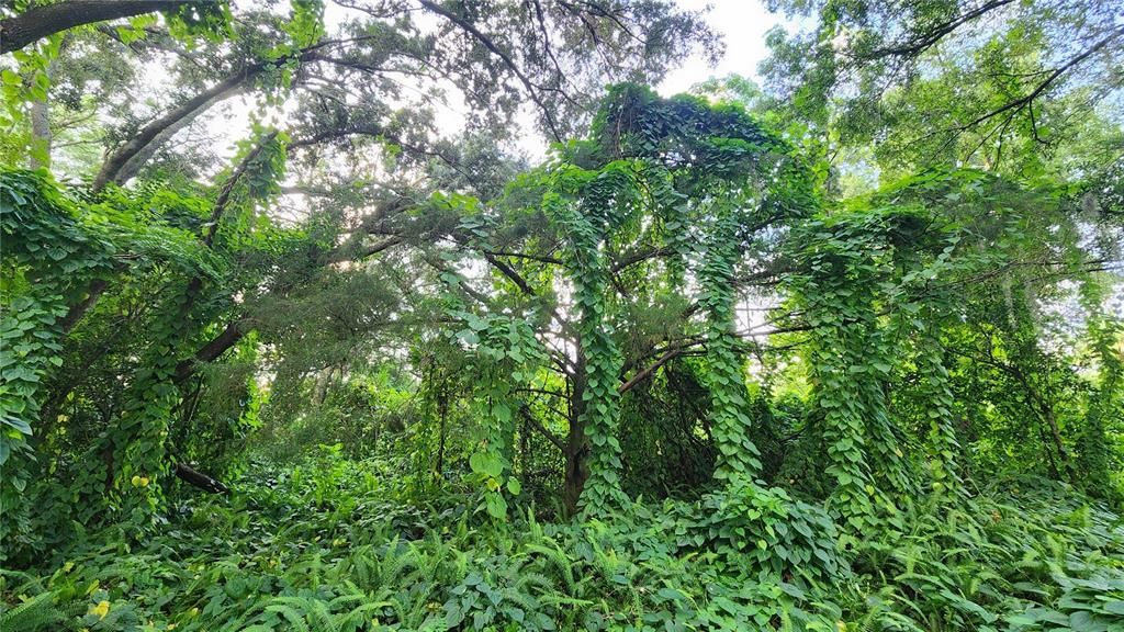 待售: $2,700,000 (8.40 acres)