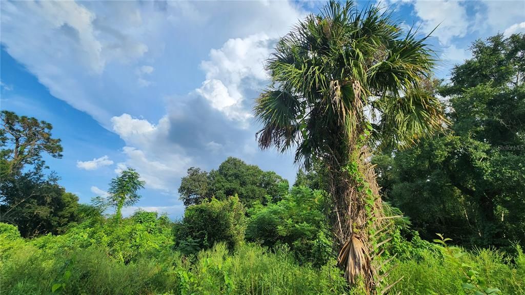 待售: $2,700,000 (8.40 acres)