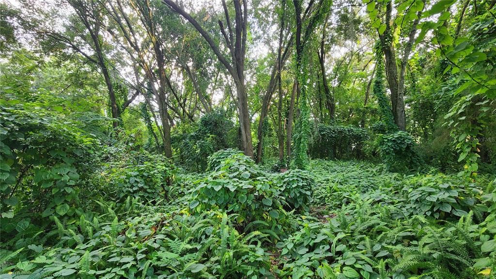 待售: $2,700,000 (8.40 acres)