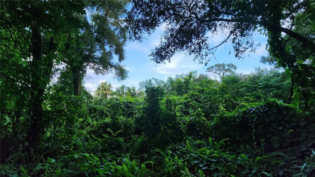 待售: $2,700,000 (8.40 acres)