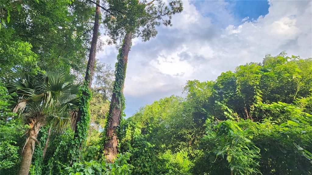 待售: $2,700,000 (8.40 acres)