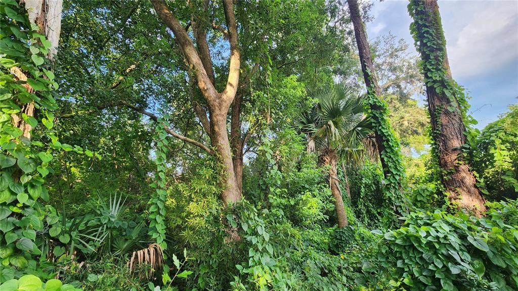 待售: $2,700,000 (8.40 acres)