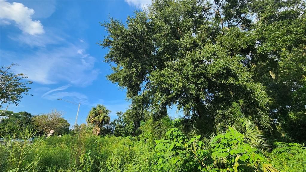 待售: $2,700,000 (8.40 acres)