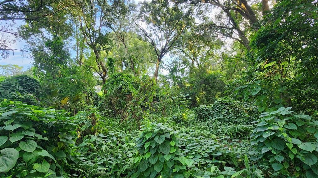 待售: $2,700,000 (8.40 acres)