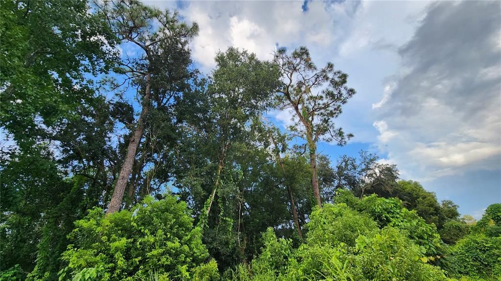 待售: $2,700,000 (8.40 acres)