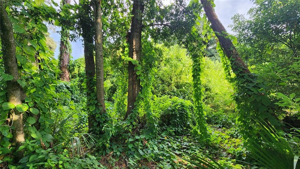 待售: $2,700,000 (8.40 acres)