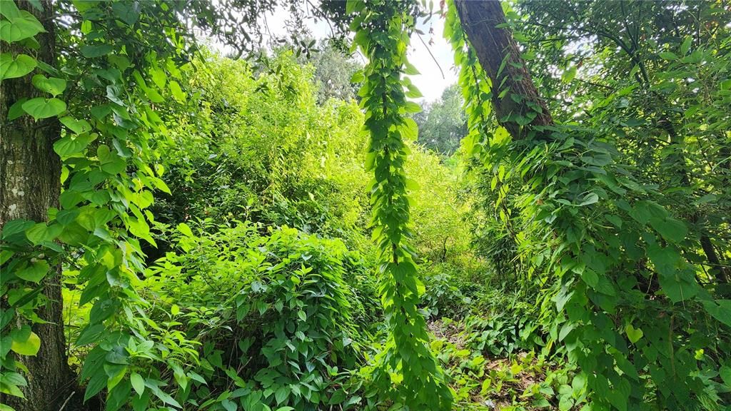 待售: $2,700,000 (8.40 acres)