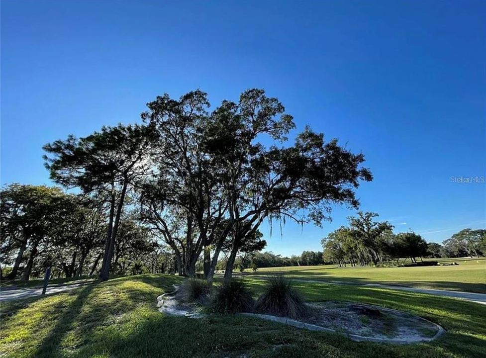 For Sale: $38,900 (0.28 acres)