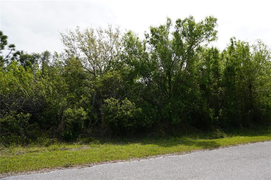 Activo con contrato: $78,000 (1.16 acres)