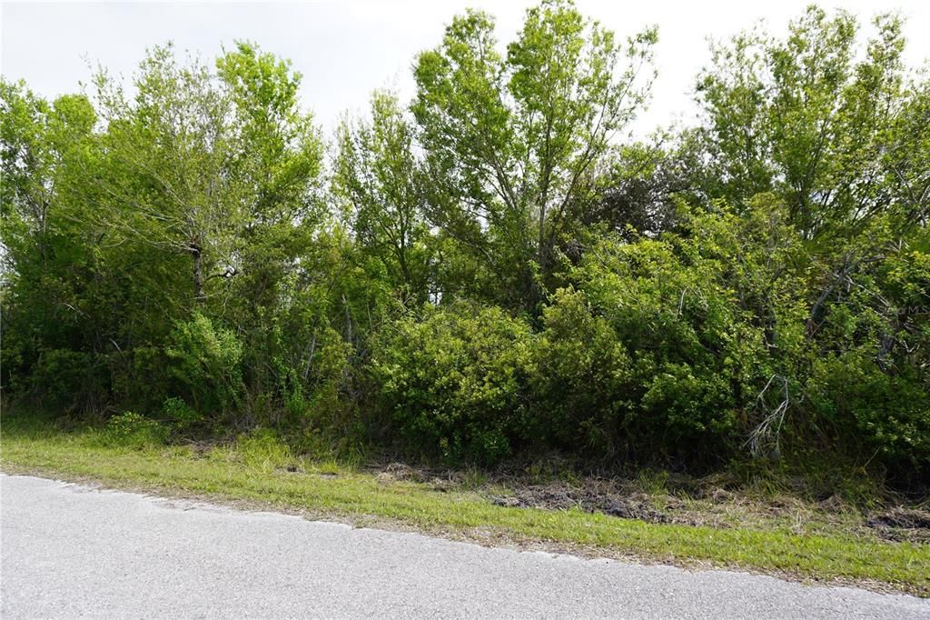 Activo con contrato: $78,000 (1.16 acres)