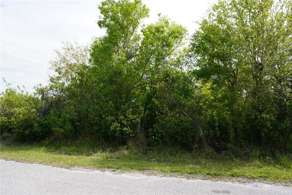 Activo con contrato: $78,000 (1.16 acres)