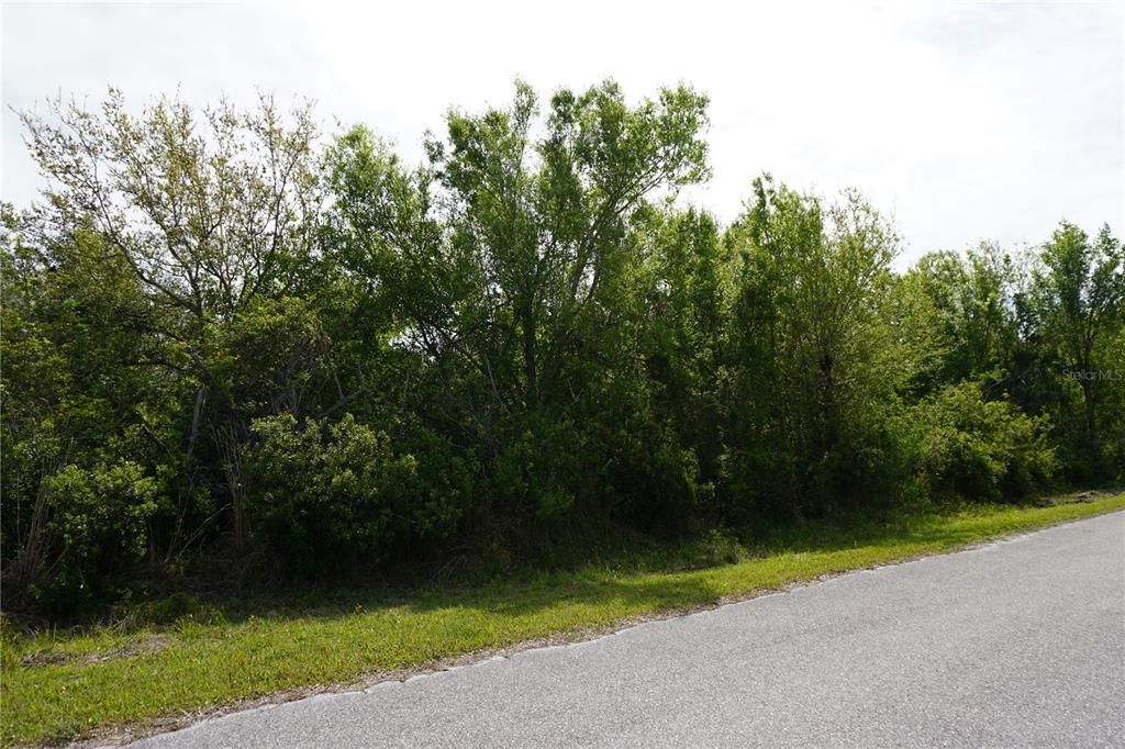 Activo con contrato: $78,000 (1.16 acres)