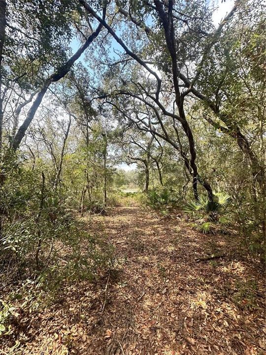 最近售出: $20,000 (0.48 acres)