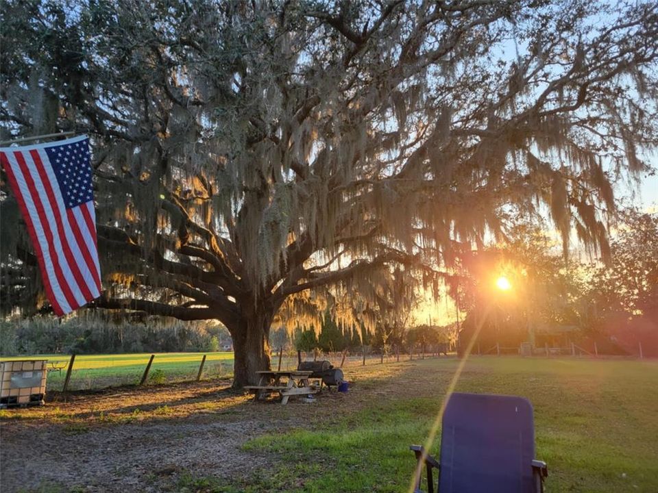 待售: $999,999 (22.50 acres)