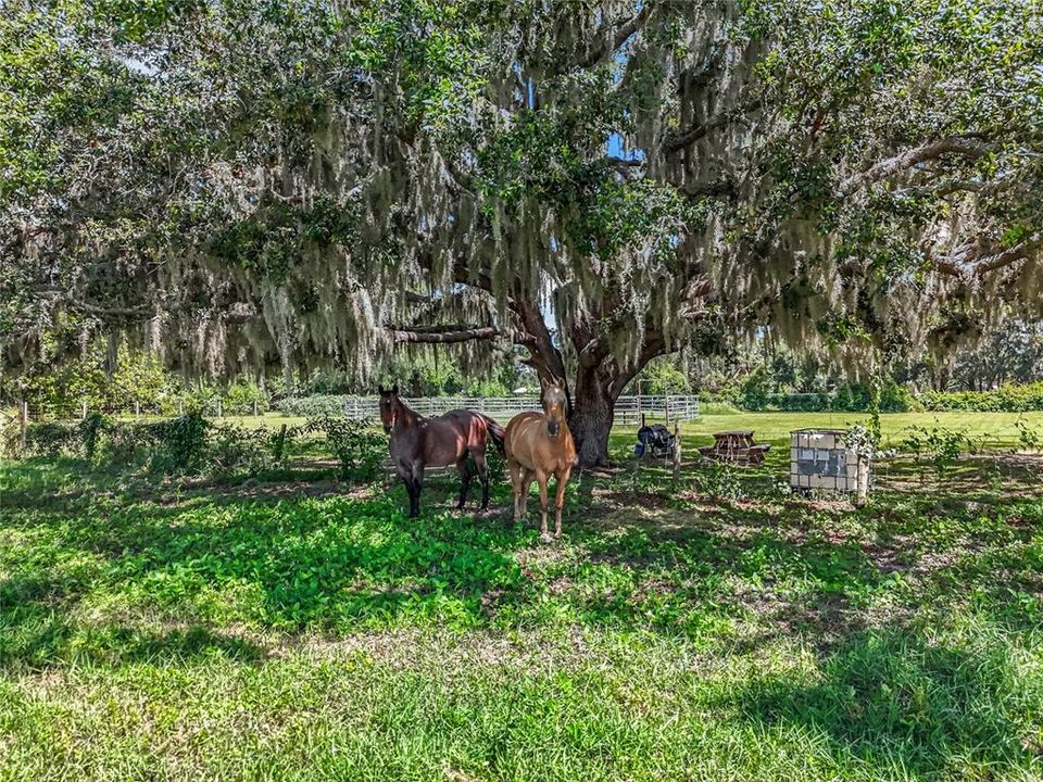 For Sale: $999,999 (3 beds, 2 baths, 1680 Square Feet)