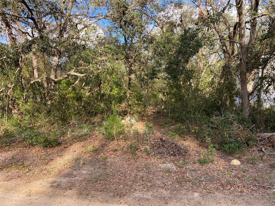 En Venta: $36,000 (0.33 acres)