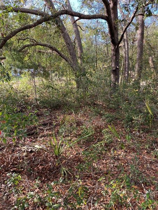 En Venta: $36,000 (0.33 acres)