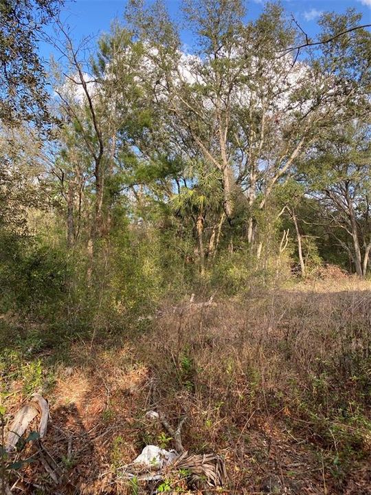 En Venta: $36,000 (0.33 acres)