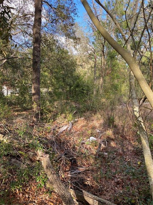 En Venta: $36,000 (0.33 acres)