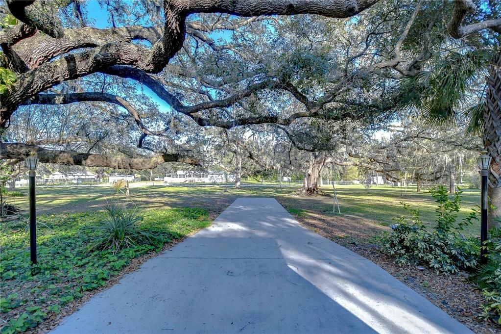 Под контрактом: $425,000 (3 спален, 2 ванн, 1500 Квадратных фут)